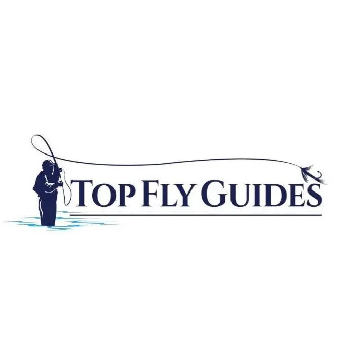 Top fly guides