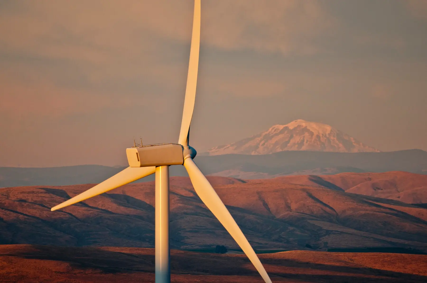 wild horse renewable energy