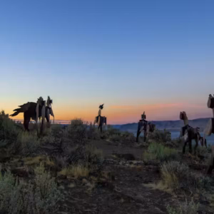 wild horse sunset
