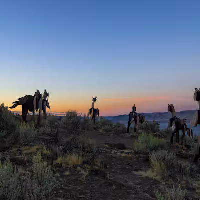 wild horse sunset